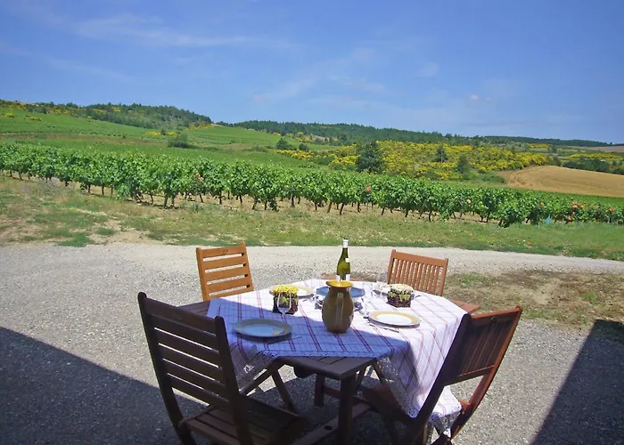 Ferienhaus In Conilhac With Private Terrace